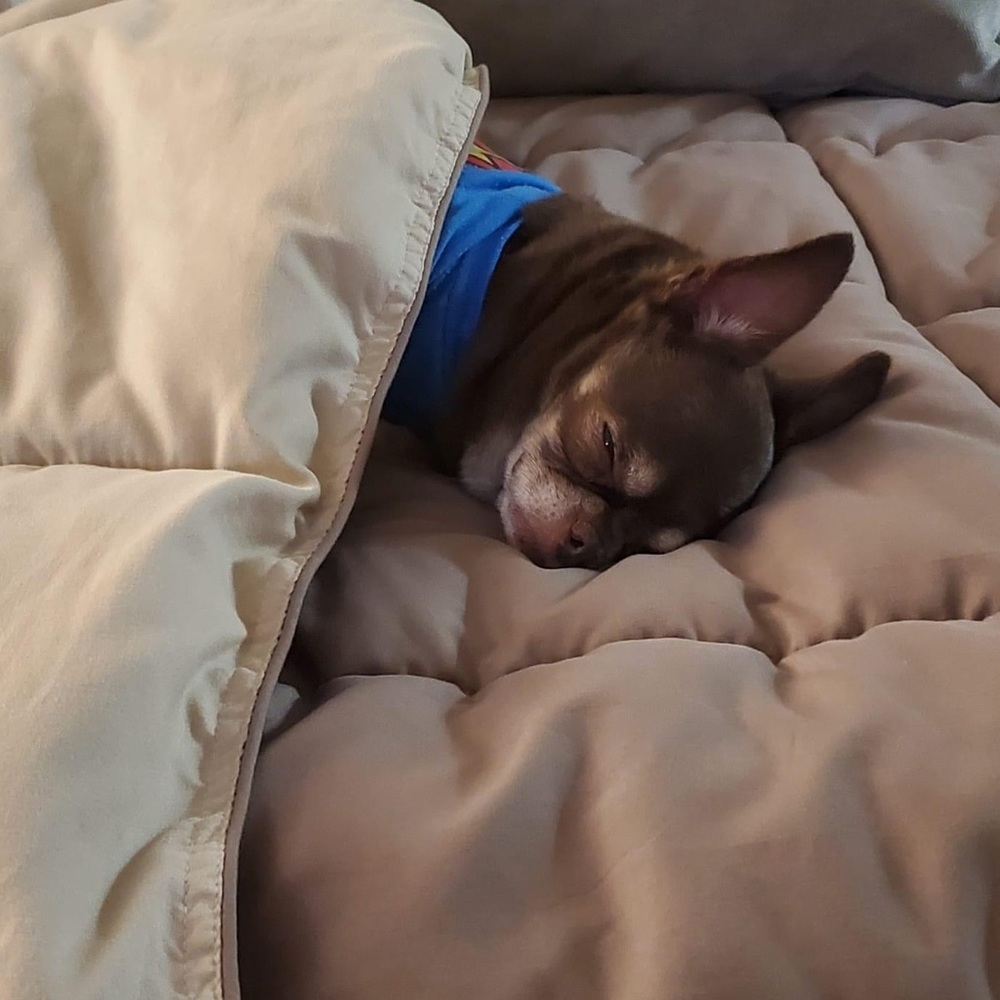 Trading is exhausting